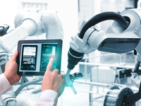 Customization Domain